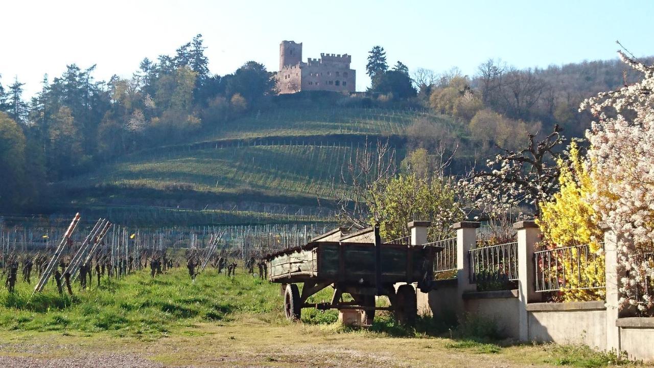 Entre Histoire Et Terroir - 2 Gites De Charme คินท์ซไฮม์ ภายนอก รูปภาพ